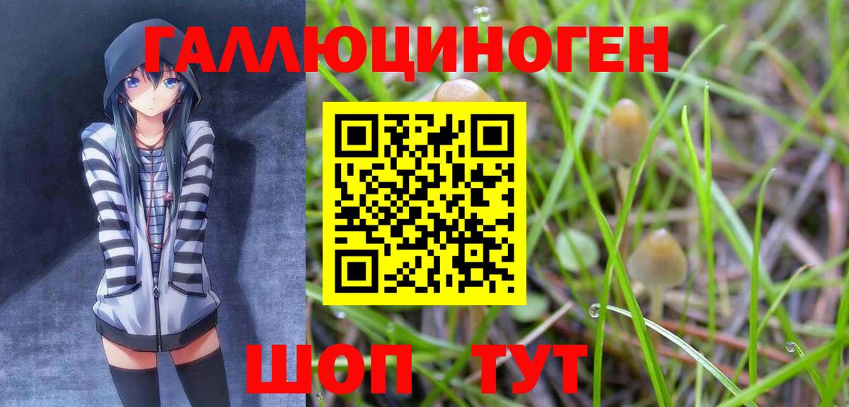 Псилоцибиновые грибы GOLDEN TEACHER  Псилоцибиновые грибы прущие грибы  Подольск  Вход с VPN 
