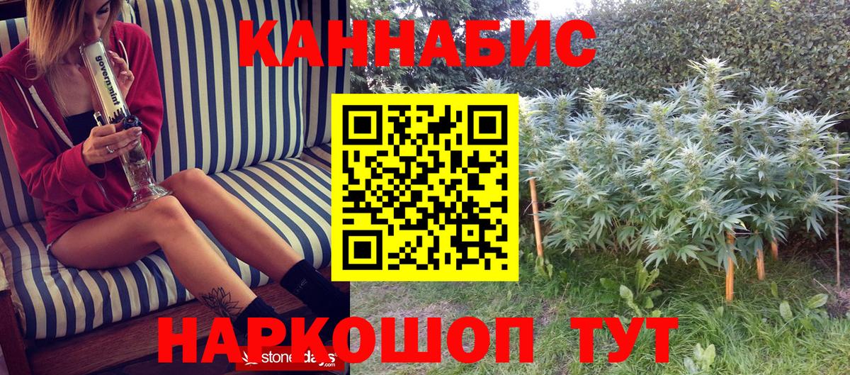 Подольск  Шишки марихуана планчик  Вход с VPN  МАРИХУАНА сатива  Бошки Шишки Ganja 